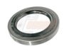 CASALS 20365 Shaft Seal, wheel hub